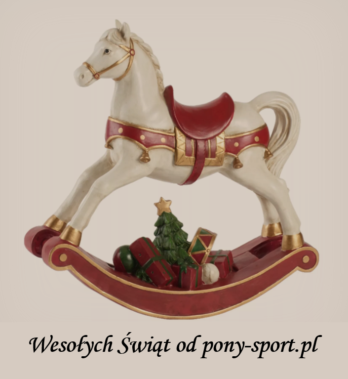 MerryCh 2019